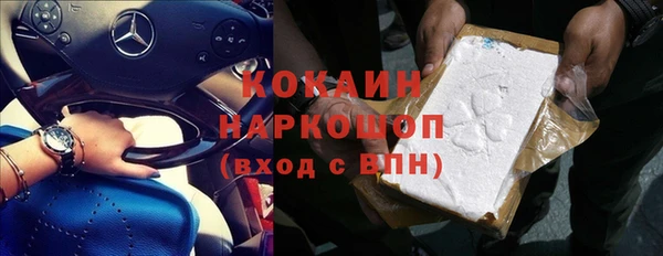 ешки Арсеньев