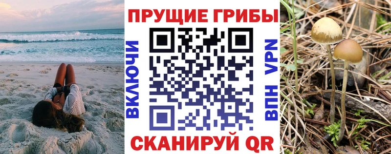 Псилоцибиновые грибы Magic Shrooms  hydra ссылки  Заинск 