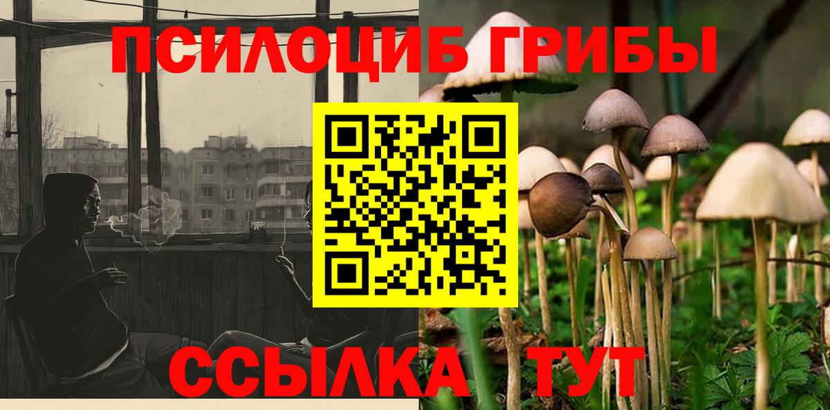 Псилоцибиновые грибы GOLDEN TEACHER  Вход с VPN  Заинск 