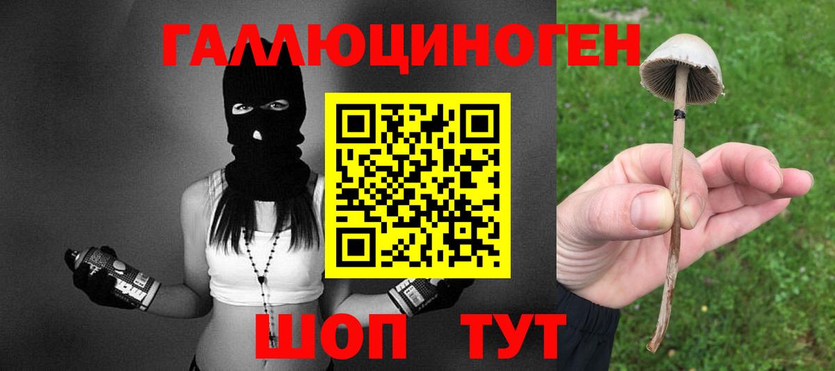 Галлюциногенные грибы прущие грибы Заинск